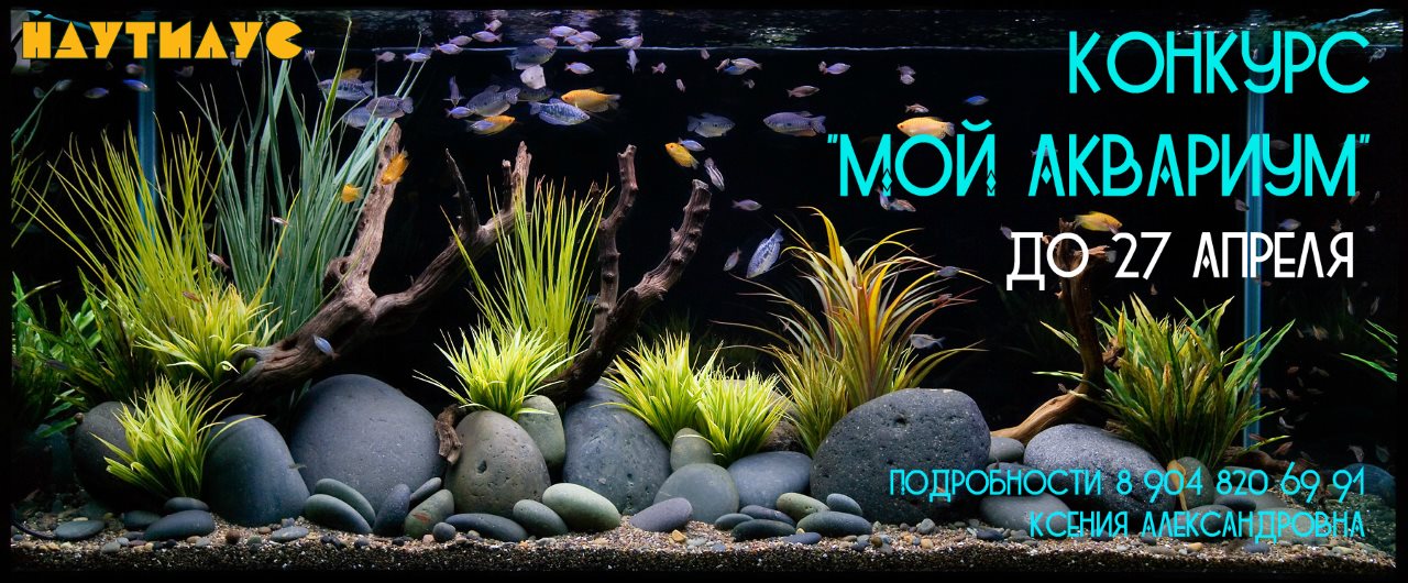 cover img moi akvarium